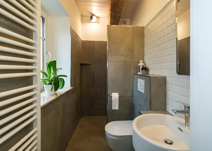 Blaues Nest 公寓 Elsterheide